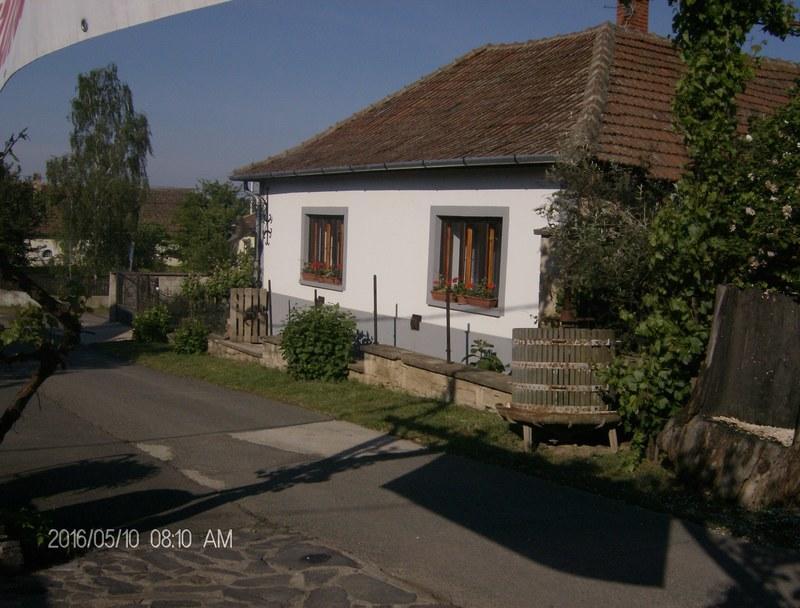 Pataky Borporta Bed & Breakfast Tarcal Bagian luar foto