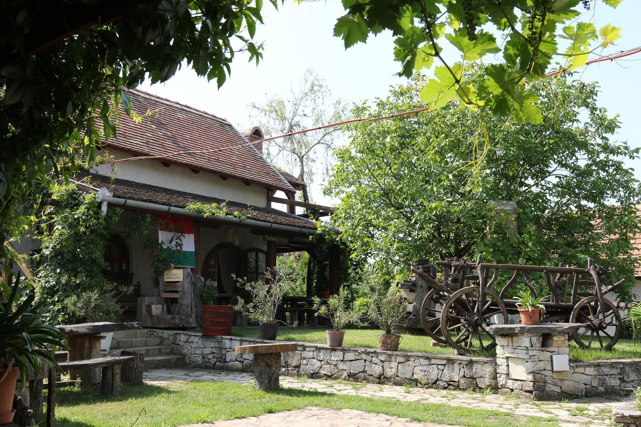 Pataky Borporta Bed & Breakfast Tarcal Bagian luar foto