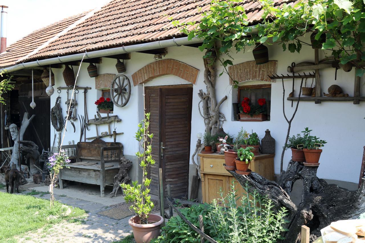 Pataky Borporta Bed & Breakfast Tarcal Bagian luar foto