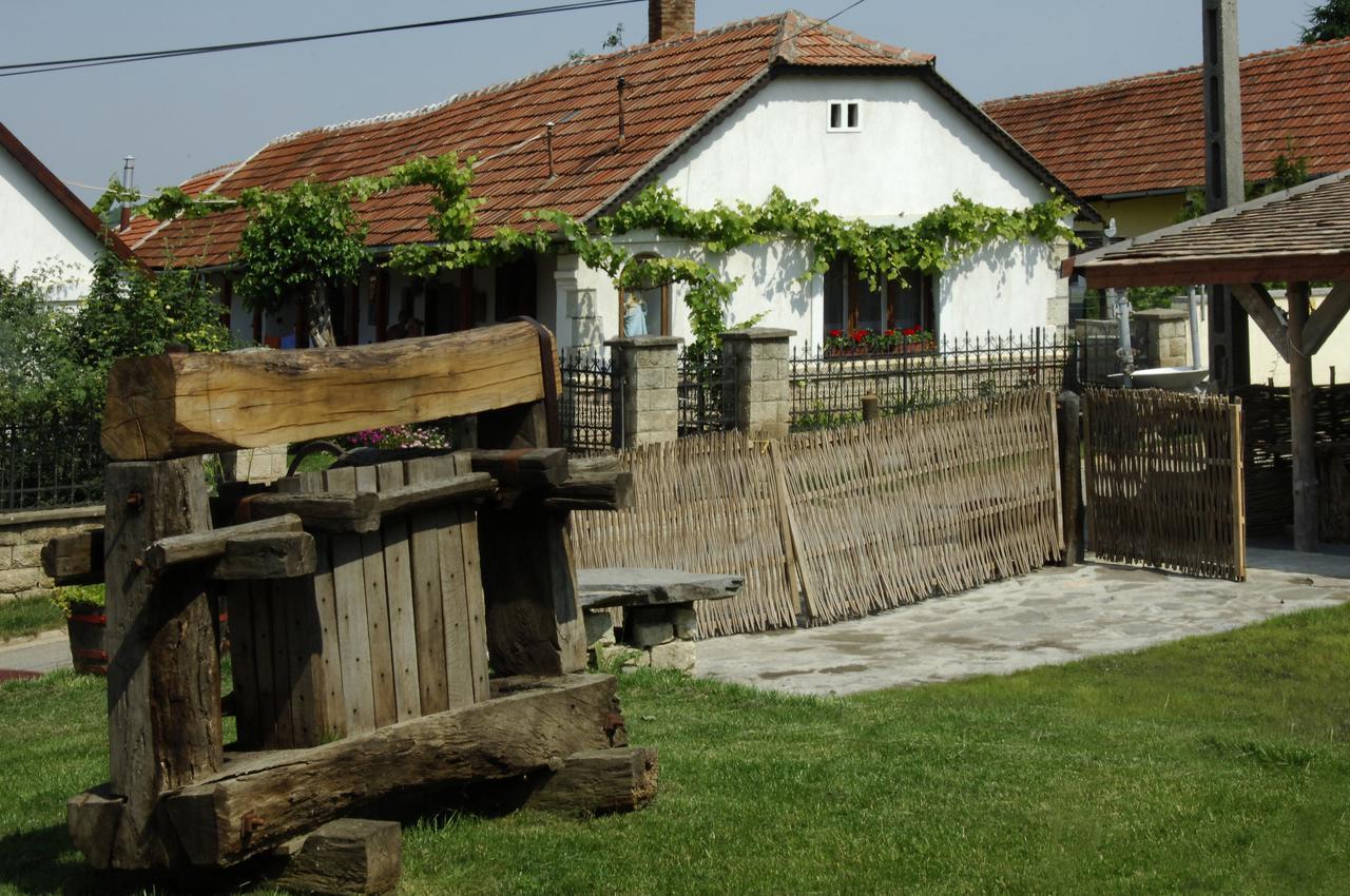 Pataky Borporta Bed & Breakfast Tarcal Bagian luar foto