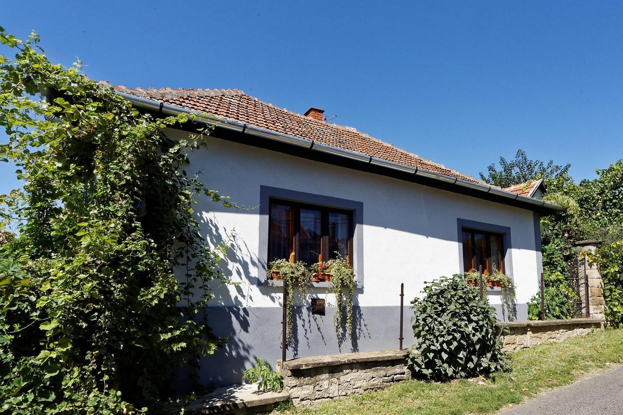 Pataky Borporta Bed & Breakfast Tarcal Bagian luar foto